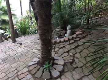 Coastal Nature Haven - Auckland