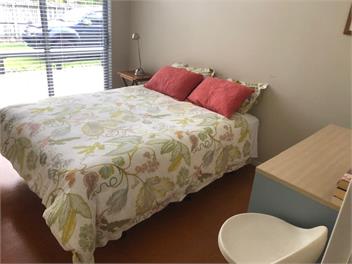 Bowentown Beach Getaway  -  Waihi beach