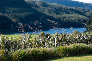 Lakehouse Retreat (Bachcare) - Whakamaru