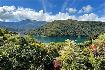 Peaceful Retreat - Marlborough