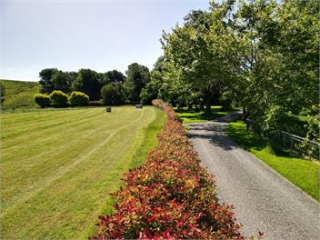 Rose Cottage - Masterton