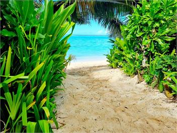 Natura Beach Pool Villa 2 - Rarotonga