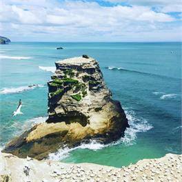 Muriwai Sunset Retreat - Auckland 0881