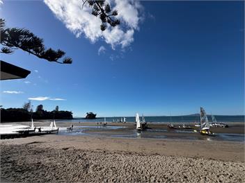 Waiake Beach Apartments - Auckland