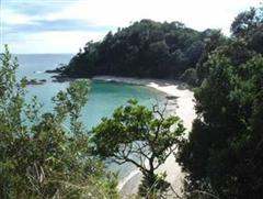 Anchor - Whangarei