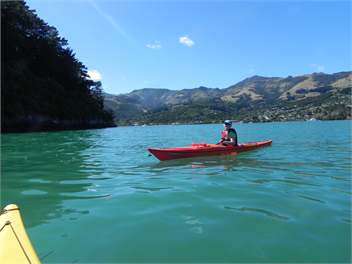 Bellbird Retreat - Akaroa