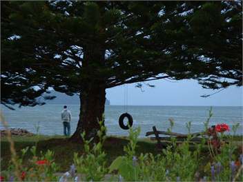 Port Charles Cottage - Coromandel