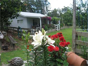 Miranda Valley Orchard Cottage  - Miranda, Kaiua, Coromandel, Thames