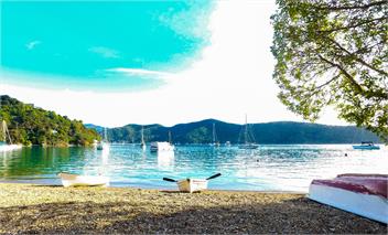 Beech's Bay - Queen Charlotte Sounds - Picton