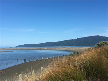 Holiday on Henare, Olde Beach Waikanae. - Waikanae