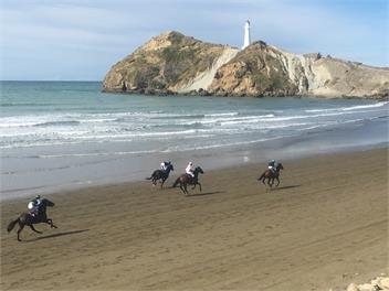 The Lighthouse - Castlepoint