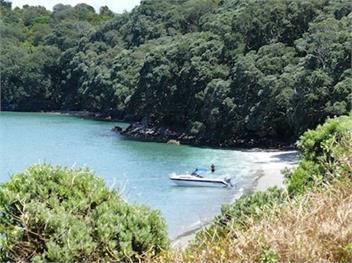 The Jandal (Bachcare) - Waihi Beach