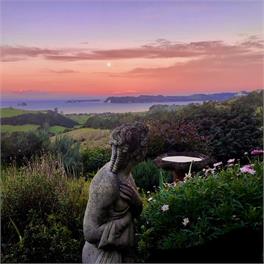 The Tui Suite - Bayview Valley Lodge - Whitianga