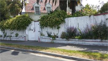 Hammersley homestead - CHRISTCHURCH