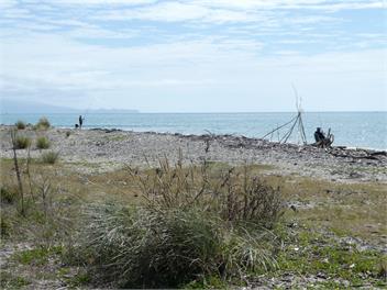 Harry Place Cottage - Tasman Bays