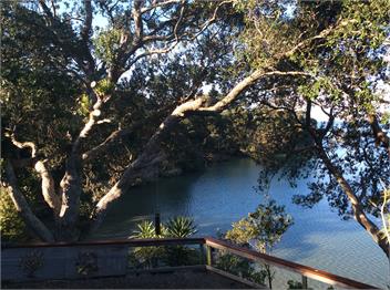 Coastal Nature Haven - Auckland