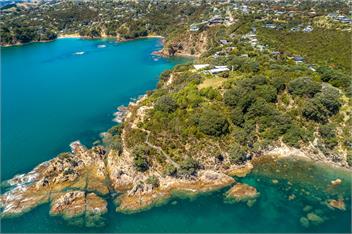 Relax on Newton - Waiheke Island 1081