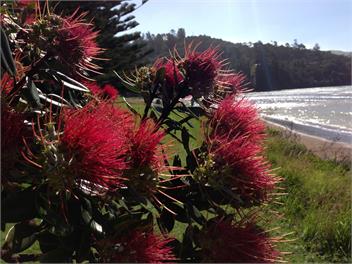 Port Charles Cottage - Coromandel