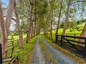 Country Idyll (Bachcare) - Sandspit