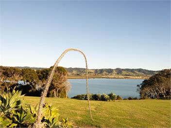 Tio Point (Bachcare) - Papakura