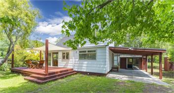 Stroll to the Lake - Kinloch - 250m walk - Taupo