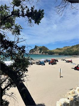 Hahei Airstream  - Hahei