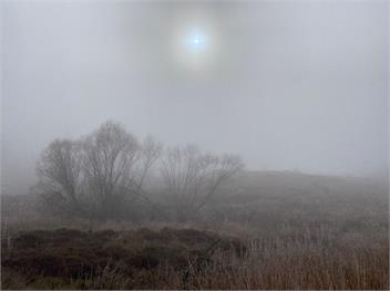 A Place in Thyme (Bachcare) - Alexandra