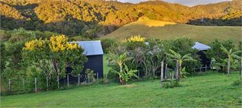 Whananaki Barn & Cabins: Our Off-Grid Family Escape -