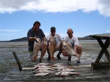 Tranquillity Lodge - Houhora