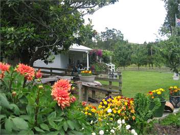 Miranda Valley Orchard Cottage  - Miranda, Kaiua, Coromandel, Thames