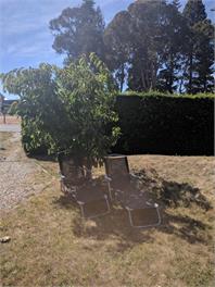 Wanaka- close to town-affordable two room suite - wanaka