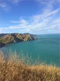 The Hall Mahia - Mahia
