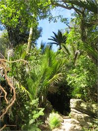 Rock 'n Rata Cottage - Golden Bay
