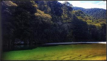 Stonehaven Farm Farmstay  - Blenheim 