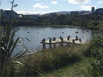 Holiday on Henare, Olde Beach Waikanae. - Waikanae