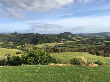 Coroglen outlook - Whitianga