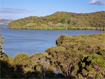 Tui Cottage - Paihia