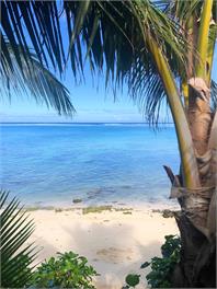 ' ARE PEPE - container home - Rarotonga