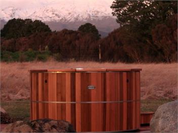 Sno Ruapehu (Bachcare) - Horopito