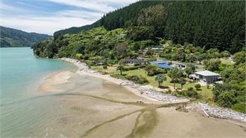 Linkwater Wonder (Bachcare) - Picton