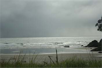 JOHANS Bach and Cabin Matarangi Beach Corromandel - Corromandel