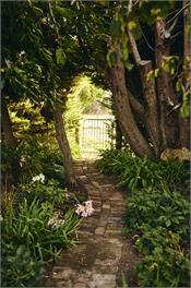 Luxury Vineyard Holiday House - Blenheim