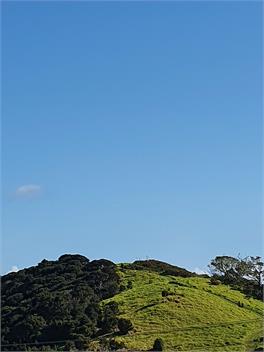 Coopers Beach Summer Cottage - Coopers Beach