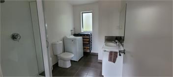 Lazy Seal Cottages - 