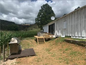 The Old Woolshed Rural Camping Style With Bonuses - Pukehina