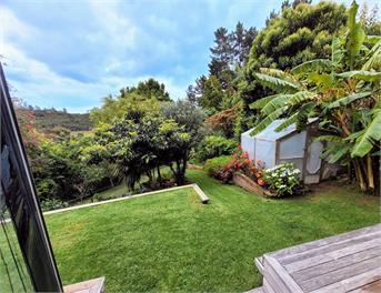 Garden Bliss & Bird Sanctuary in Paihia Estuary - Paihia