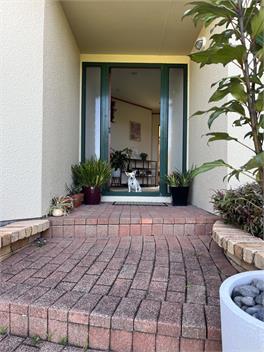 Pets Welcome, Sunny & Spa!! - Mount Maunganui
