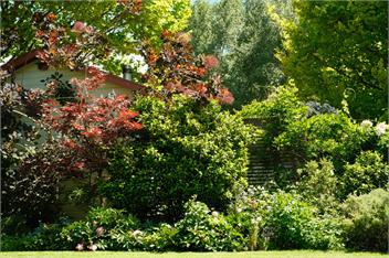 Rose Cottage - Masterton