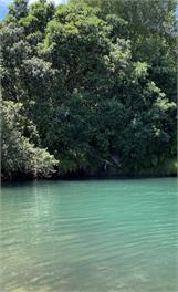 Alluring Te Mata - Thames/Coromandel