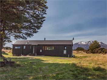 Sno Ruapehu (Bachcare) - Horopito